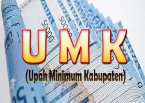 tahun-2017-umk-sumenep-diusulkan-rp-1-1-1-696x497