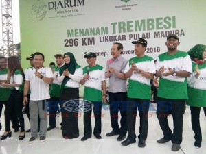jarum