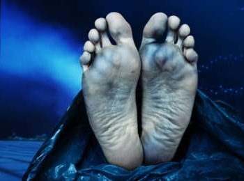 shutterstock_91893899