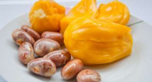 Wah, Biji Nangka Bakal Jadi Pengganti Cokelat?
