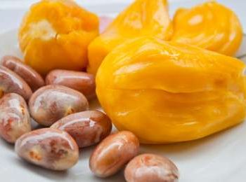 90234-buah-nangka-dan-bijinya