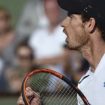89096-andy-murray
