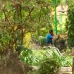 IMG_20170711_222718