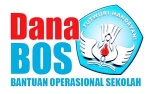 1489995201-bos