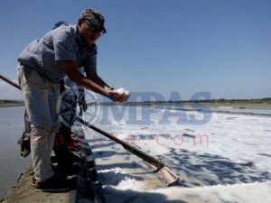 IMG_20170801_164310