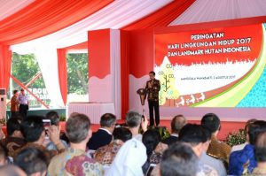 IMG_20170802_184820