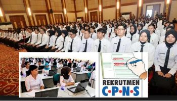 formulir pendaftaran cpns 2017