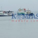 IMG_20190209_145802