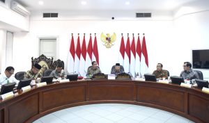 IMG-20191031-WA0036