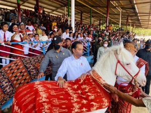 IMG_20220602_182608