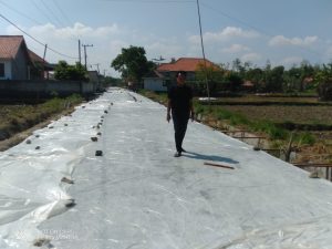 IMG-20230713-WA0006