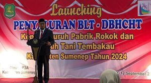 IMG-20241021-WA0035